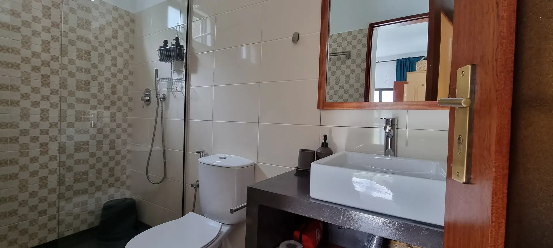 Private Blue Room bathroom with walk-in shower, toilet and washbasin