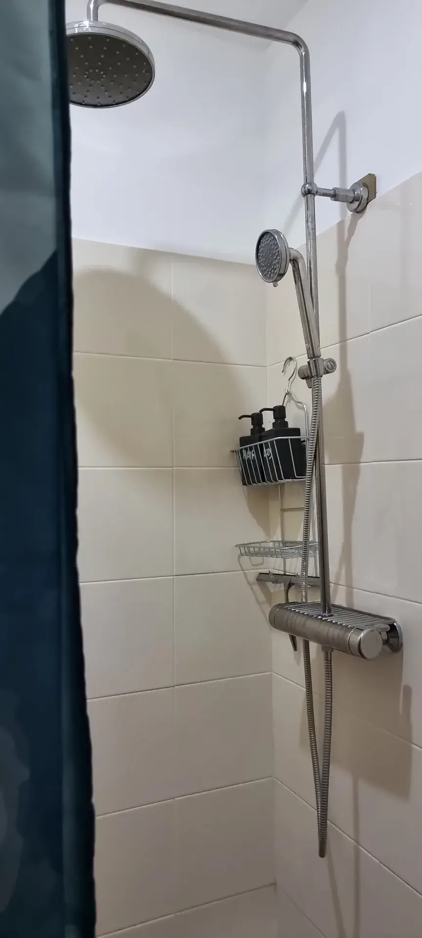 Walk-in shower with rainfall and handheld showerheads in the Green Room bathroom
